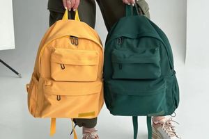 Чим відрізняється портфель від рюкзака?