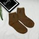 Шкарпетки ведмедики світло-коричневі
